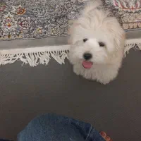 دختر ۵ ماه کوچولو