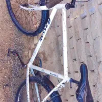 دوچرخه 26آساک 4انگشت قیمت پول لازم|دوچرخه، اسکیت، اسکوتر|زابل, |دیوار