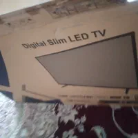 تلویزیون