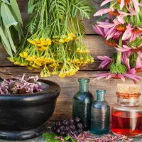 کاربر گیاهان دارویی