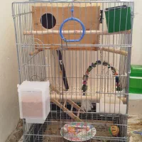 قفس کاسکویی بزرگ