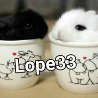 هلندی|موش و خرگوش|بروجرد, |دیوار