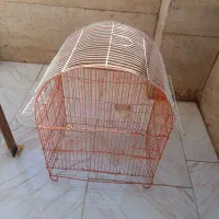 قفس پرنده