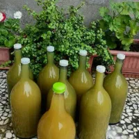آبغوره محلی