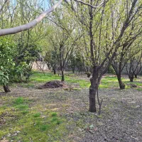 ۳۰۰متر زمین رودباردشت