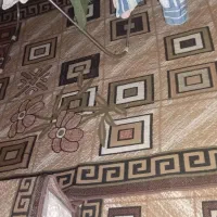 گلیم نو|گلیم، جاجیم، گبه|قم, نیروگاه|دیوار