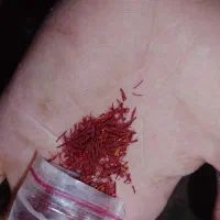 نگین زعفران سوپر ممتاز اصل کشت امسال|خوردنی و آشامیدنی|تاکستان, |دیوار