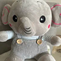 عروسک پولیشی دخترانه و پسرانه