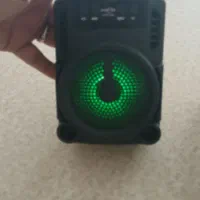 اسپیکر سالم