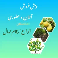 پیش فروش انواع ارقام نهال