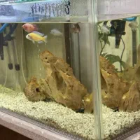 اکواریوم با تمام وسایلش