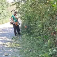 خدمات چمن زنی علف زنی علف تراشی حاشیه زنی|خدمات باغبانی و درختکاری|رشت, دیلمان|دیوار