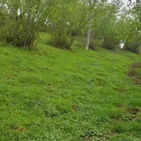 700متر-زمین-در-جنت-اباد-مازندران