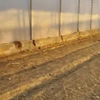 اجاره گلخانه ۱۰۸۰ متری|اجارهٔ دفتر صنعتی، کشاورزی، تجاری|شوشتر, |دیوار