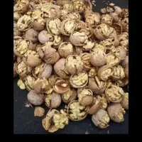 گردو اصل تزمینی