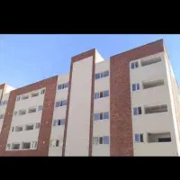 نیرو بنا و شاگرد تیغه چینی