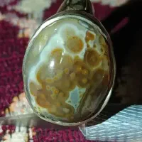 کهنه بشرط عتیقه|جواهرات|هشتگرد, ینگی امام|دیوار