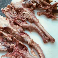 اسکلت مرغ|خوردنی و آشامیدنی|تهران, قیطریه|دیوار