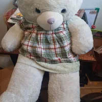 سلام یک عدد نیم بوت ویک کفش راحتی و عروس خرسی بزرگ|کیف، کفش، کمربند|شاهین‌شهر, عطار|دیوار