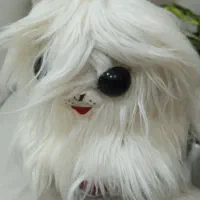 دوعدد عروسگ سگ و گربه پشمالو ۲۵۰|اسباب‌‌بازی|اهواز, کیان اباد|دیوار