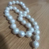مروارید|بدلیجات|شیراز, غدیر جنوبی|دیوار