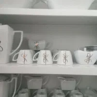 سرویس چینی ۱۸ نفره|ظروف سرو و پذیرایی|گرگان, |دیوار