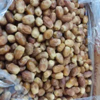 خرمای زاهدی (قصب )