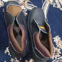 دوجفت کفش کار|کیف، کفش، کمربند|پرند, فاز ۵|دیوار