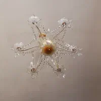 لوسترشیک|لوستر و چراغ آویز|اقبالیه, |دیوار