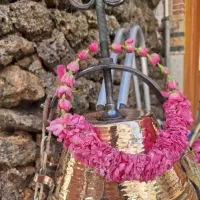 تور یک روزه گلابگیری کاشان ظرفیت محدود