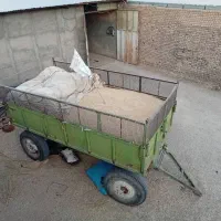 جو دیم بذری|عمده‌فروشی|سیلاخور, |دیوار