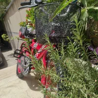 دوچرخه ۱۴|دوچرخه، اسکیت، اسکوتر|تهران, تهرانپارس غربی|دیوار