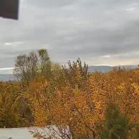 باغ به مساحت هزار متر در کمربندی خوی سلماس|فروش زمین و ملک کلنگی|سلماس, |دیوار