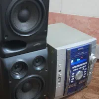 ضبط و باند سالم