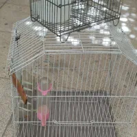 قفس پرنده