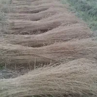 جارو|لوازم نظافت|نهاوند, |دیوار