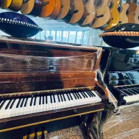 پیانو طرح آکوستیک نمایندگی شمال کشور|پیانو، کیبورد، آکاردئون|آمل, |دیوار