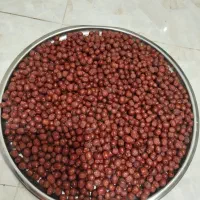 عناب امسالی