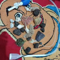 وسایل آکواریوم به فر وش میرسد|ماهی|شاهین‌شهر, شهرک گلدیس|دیوار