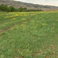 فروش زمین کشاورزی با قابلیت احداث باغ|فروش زمین و ملک کلنگی|ویلکیج, |دیوار