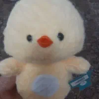 شاسخین و...|اسباببازی|مشهد, هفت تیر (نه دره)|دیوار