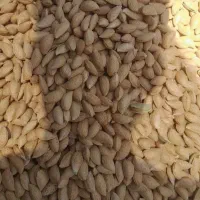 گردو وبادام سامان لوکس