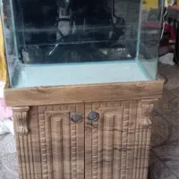 اکواریوم