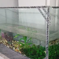 اکواریوم|ماهی|خوی, |دیوار