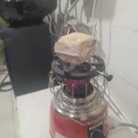 بخاری الدین صحرا