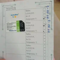 سگ پاگ|سگ|شاهینشهر, شهرک میلاد|دیوار