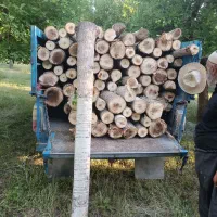 خرید و برش انواع چوب|خدمات باغبانی و درختکاری|نقده, |دیوار