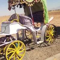 اسب و کالسکه