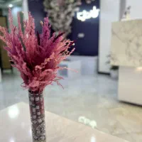 استخدام منشی درکلینیک رونیکا