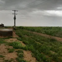 فروش زمین کشاورزی|فروش دفتر صنعتی، کشاورزی، تجاری|چناران, |دیوار